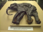 Mammouth du musée zoologique