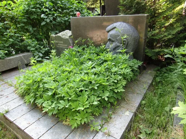 Tombe de Mikha&iuml;l Svetlov au cimeti&egrave;re de Novodevitchi &agrave; Moscou